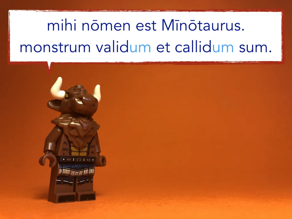 French Disco 8.062.jpeg