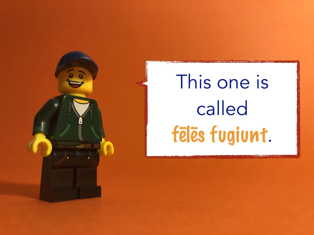 Disco Lesson 26 Remix.005.jpeg