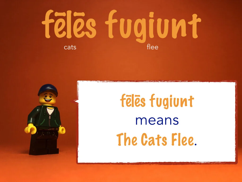 Disco Lesson 26 Remix.006.jpeg