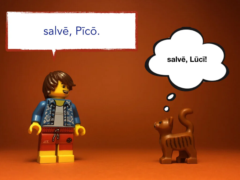 Disco Lesson 27 Remix.004.jpeg