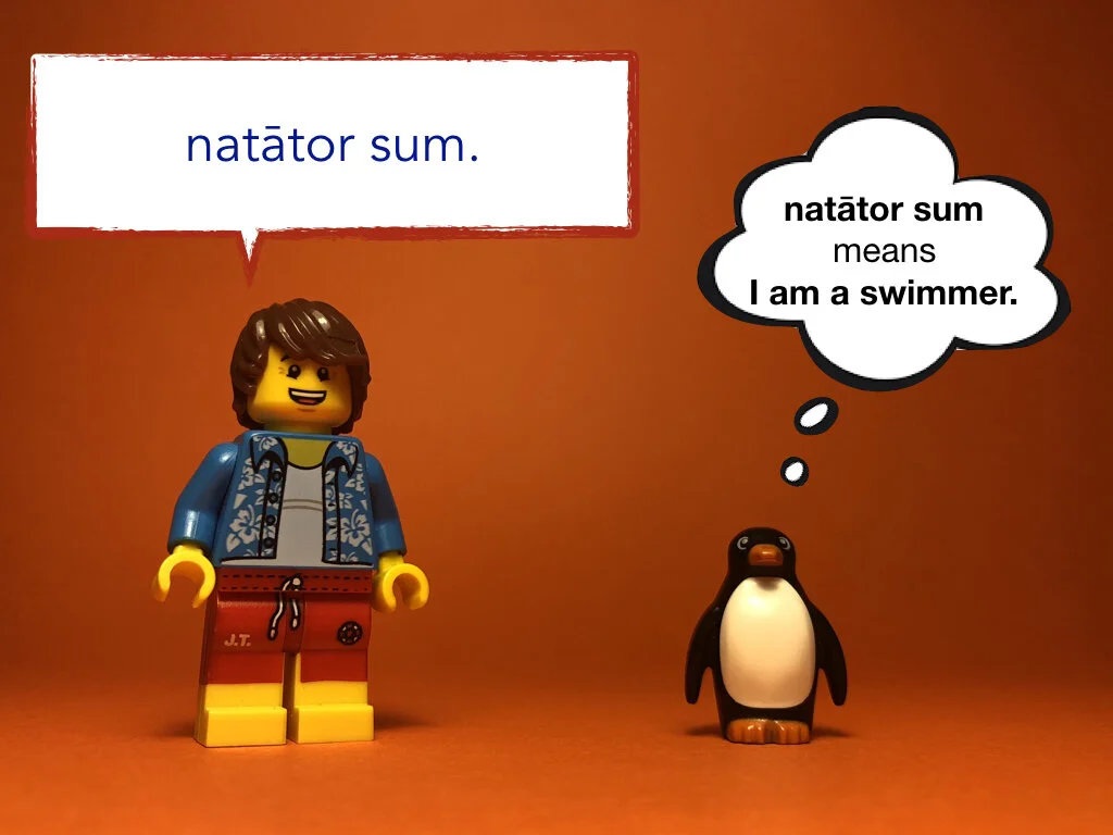 Disco Lesson 27 Remix.008.jpeg