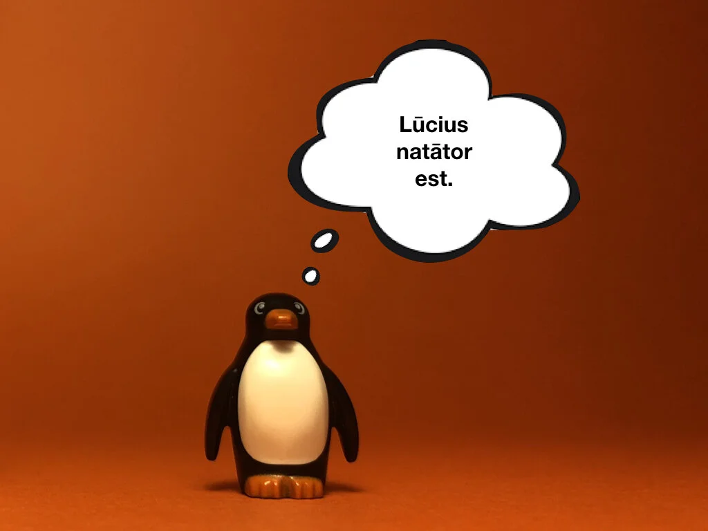 Disco Lesson 27 Remix.009.jpeg