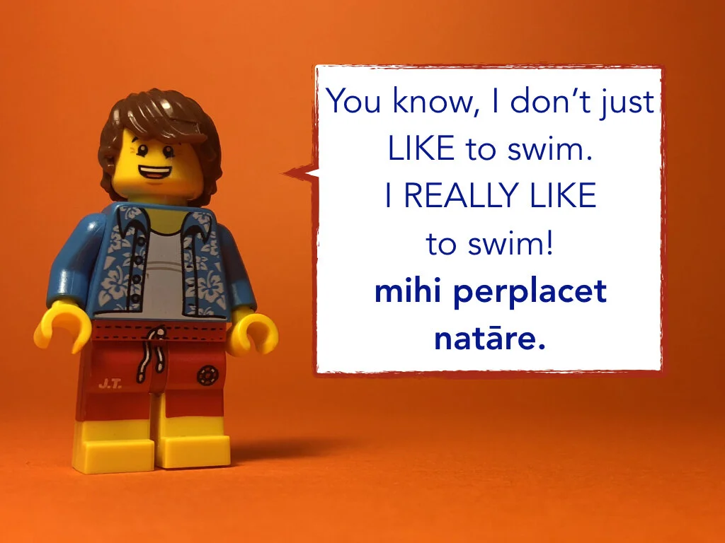 Disco Lesson 27 Remix.016.jpeg