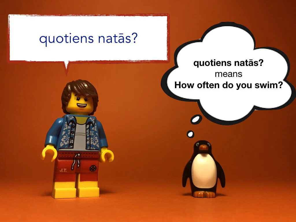 Disco Lesson 27 Remix.026.jpeg