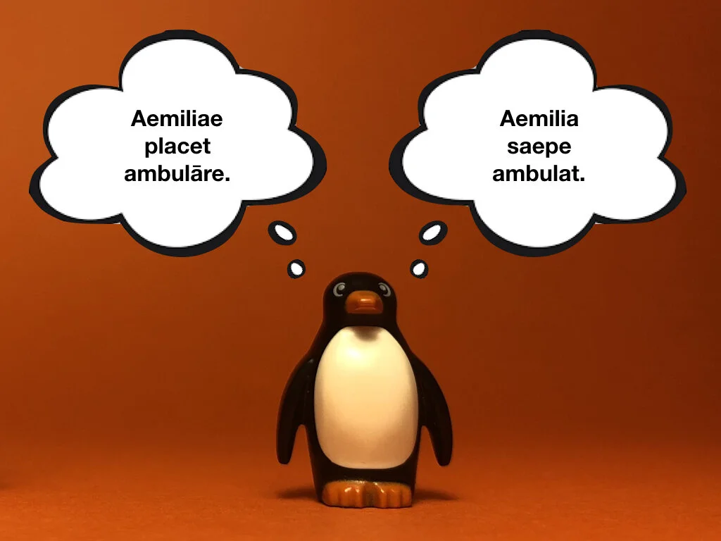 Disco Lesson 27 Remix.047.jpeg