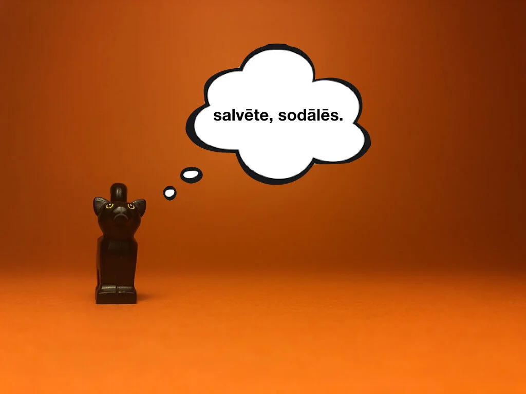 Disco Lesson 28 Remix.002.jpeg