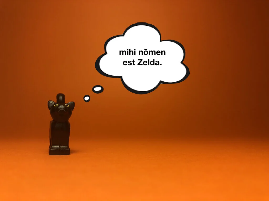 Disco Lesson 28 Remix.003.jpeg