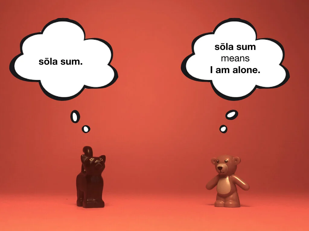 Disco Lesson 28 Remix.006.jpeg