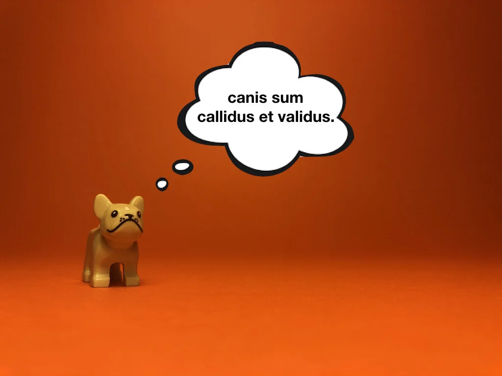 Disco Lesson 28 Remix.009.jpeg