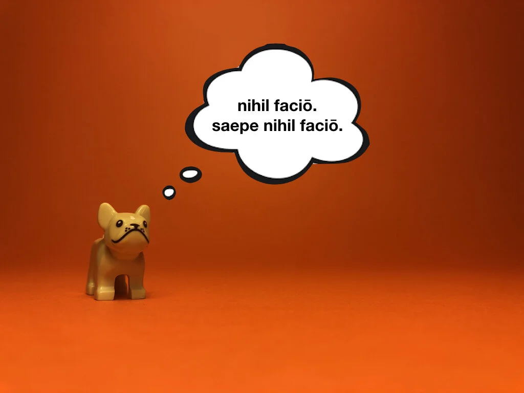 Disco Lesson 28 Remix.010.jpeg