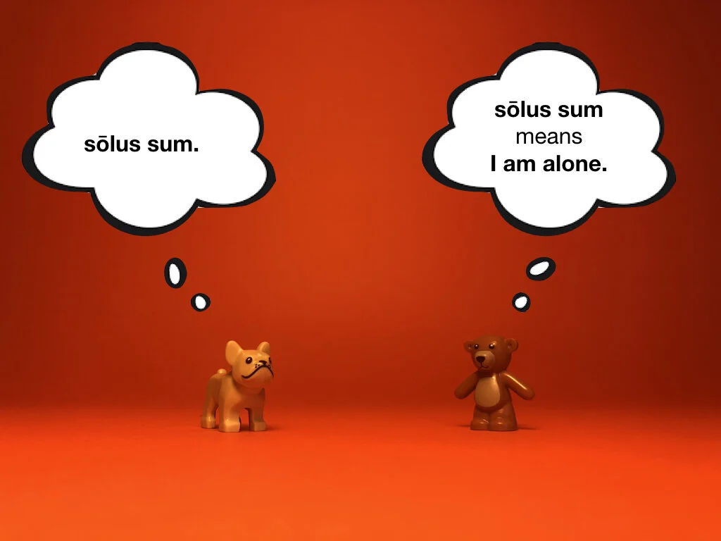 Disco Lesson 28 Remix.011.jpeg