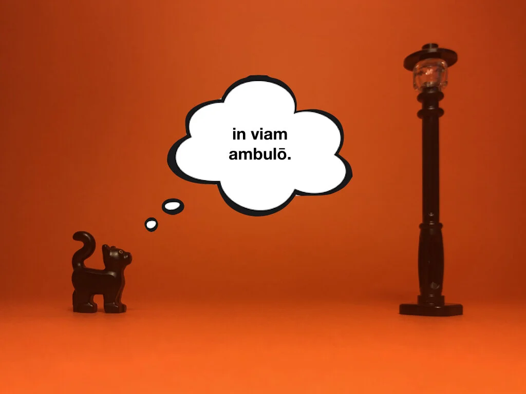 Disco Lesson 28 Remix.017.jpeg