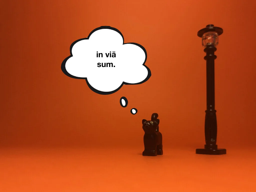 Disco Lesson 28 Remix.018.jpeg