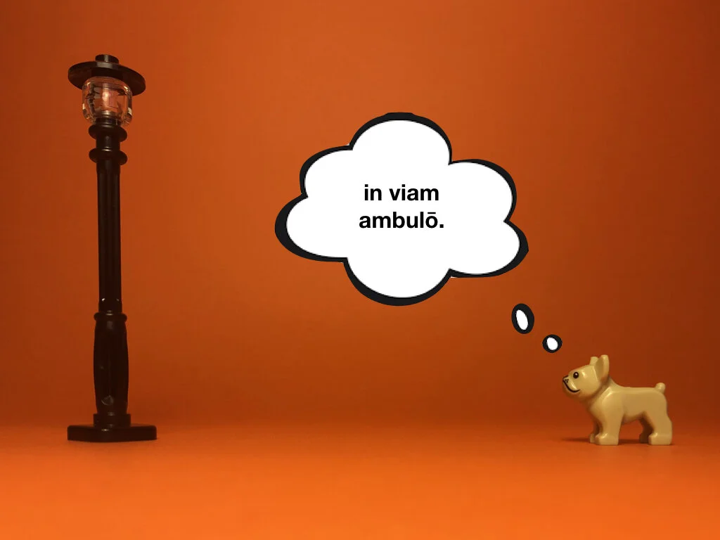 Disco Lesson 28 Remix.019.jpeg