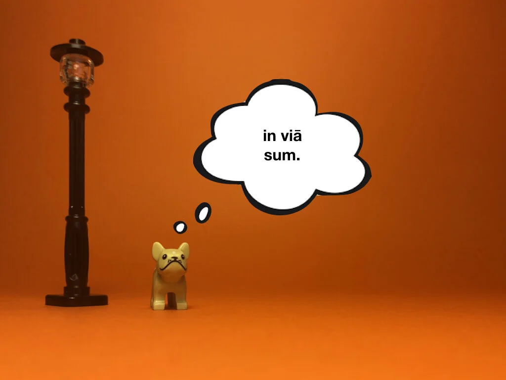 Disco Lesson 28 Remix.020.jpeg