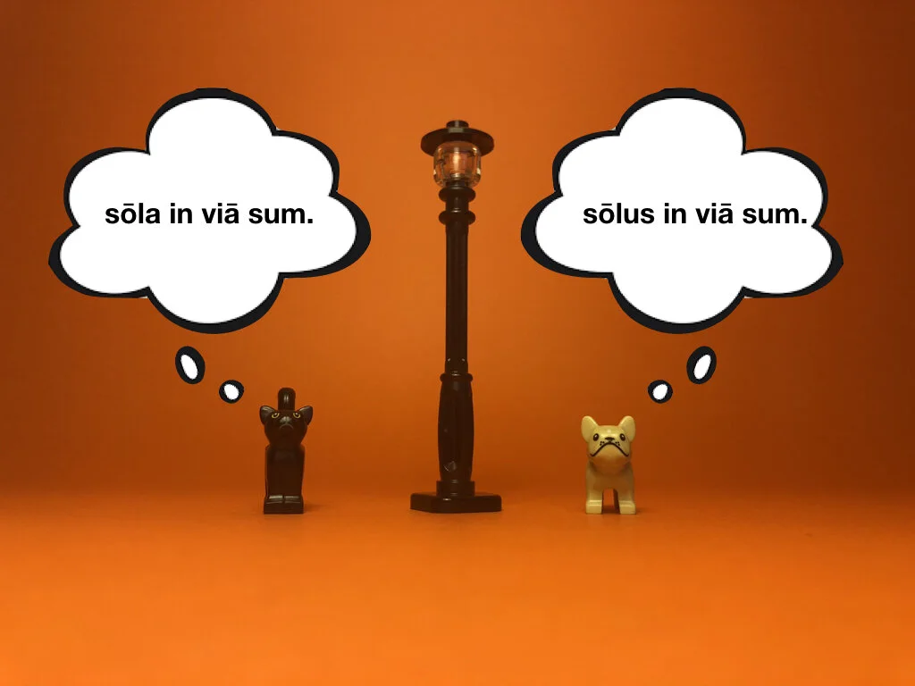 Disco Lesson 28 Remix.021.jpeg