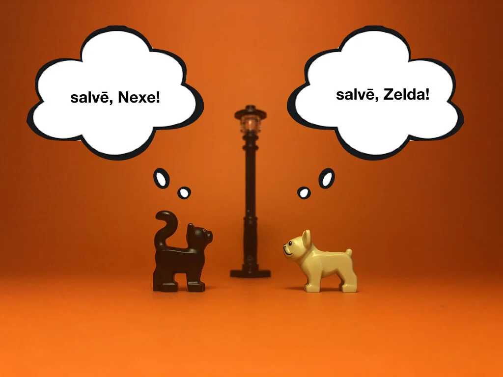 Disco Lesson 28 Remix.023.jpeg