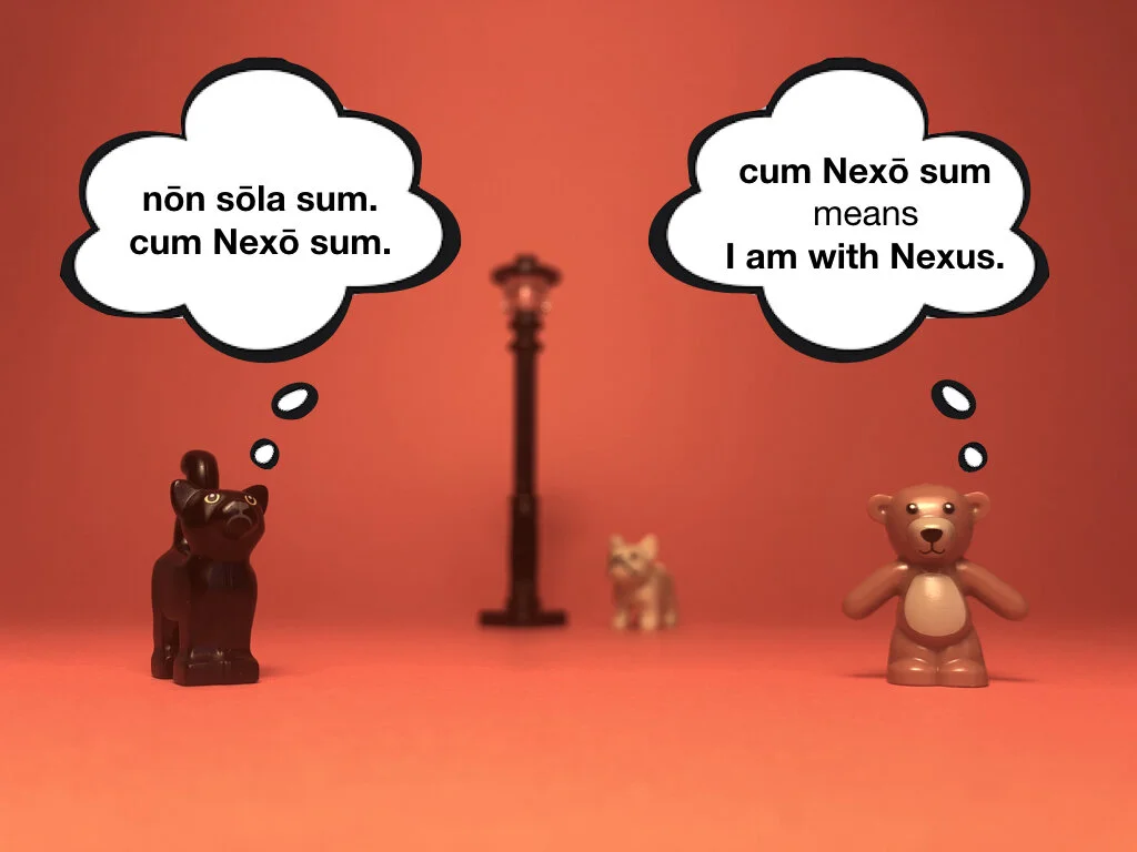 Disco Lesson 28 Remix.024.jpeg