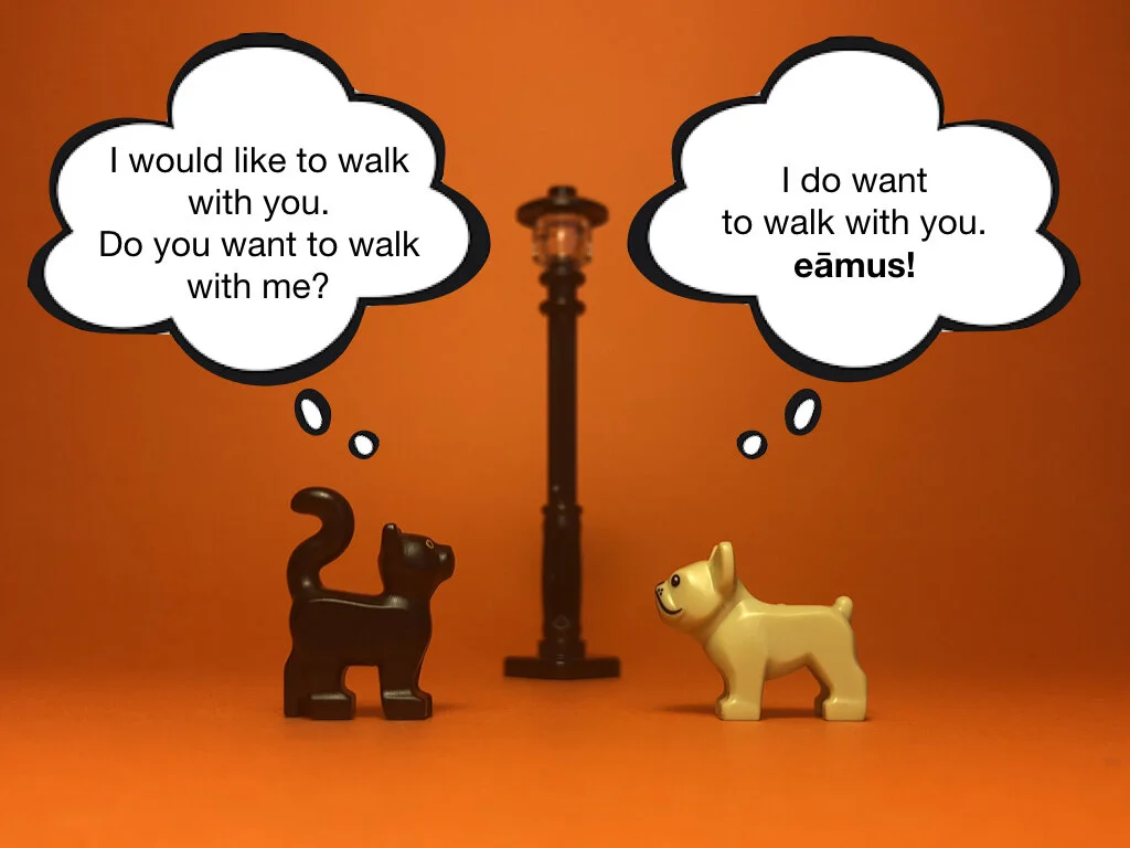 Disco Lesson 28 Remix.027.jpeg