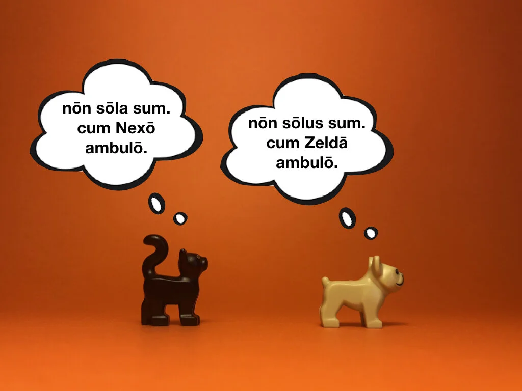 Disco Lesson 28 Remix.028.jpeg