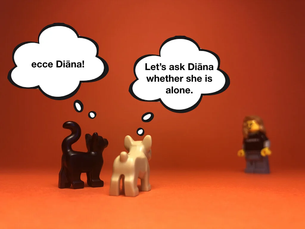 Disco Lesson 28 Remix.029.jpeg