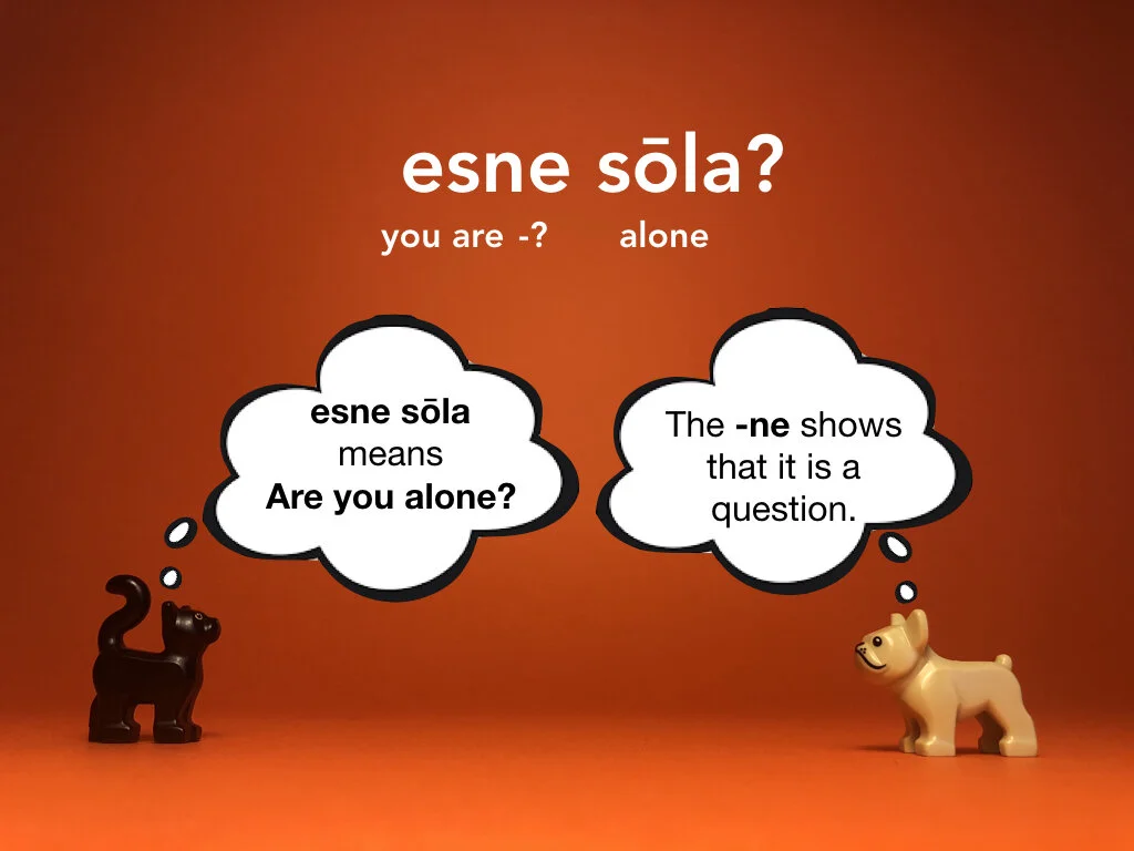 Disco Lesson 28 Remix.030.jpeg