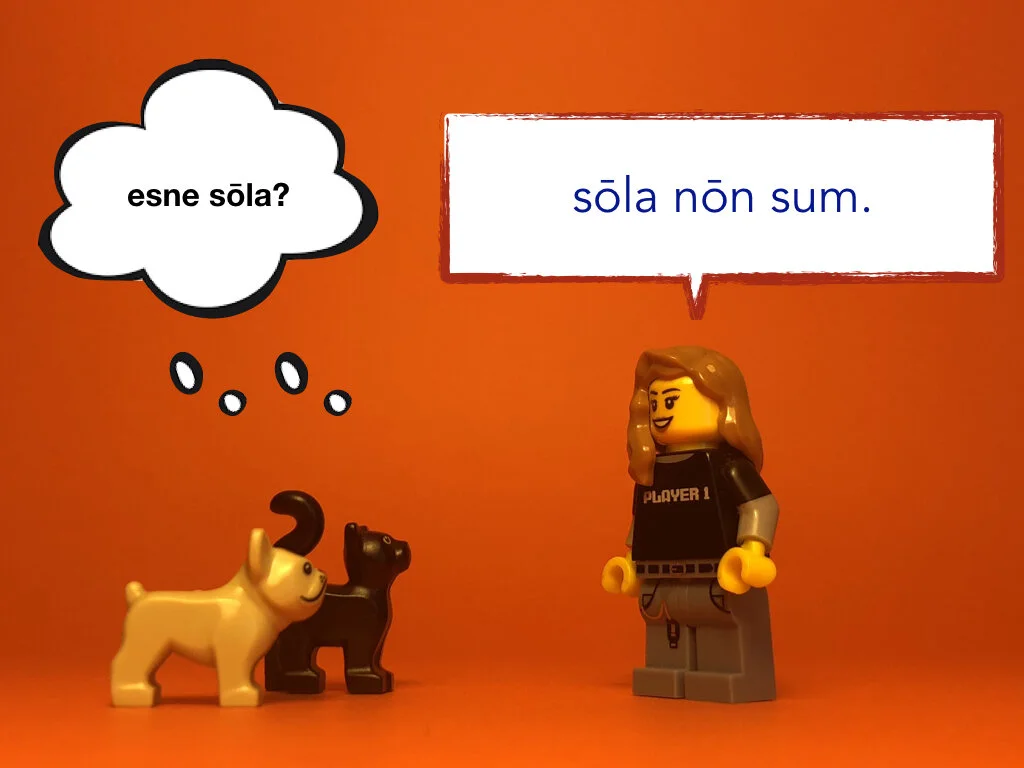 Disco Lesson 28 Remix.032.jpeg