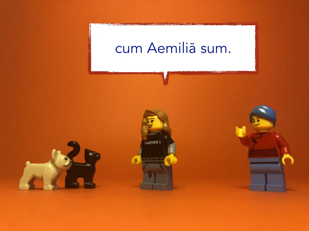 Disco Lesson 28 Remix.033.jpeg