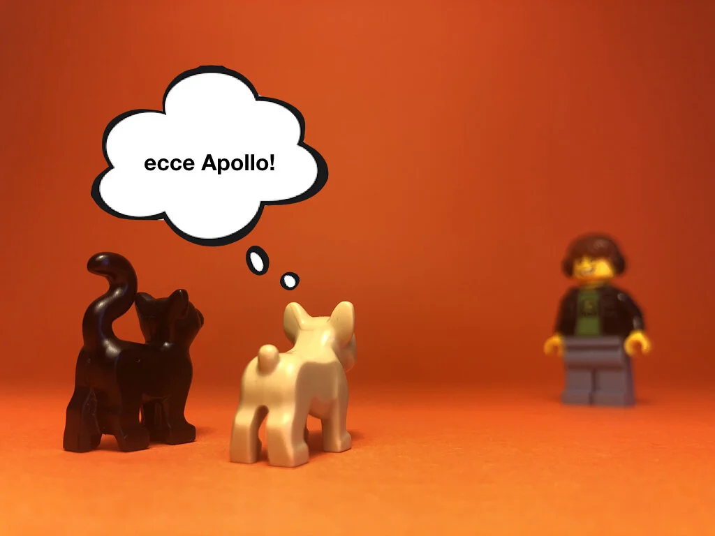 Disco Lesson 28 Remix.034.jpeg