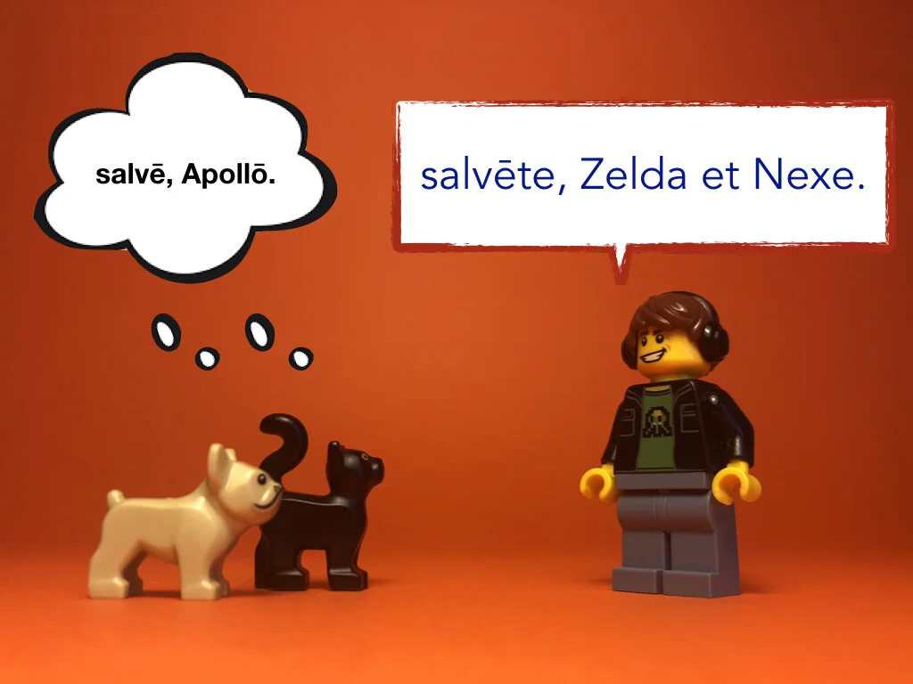 Disco Lesson 28 Remix.035.jpeg