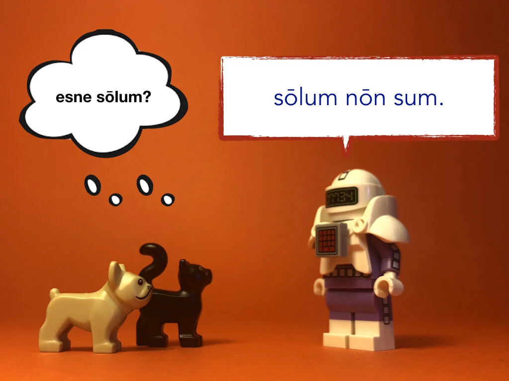 Disco Lesson 28 Remix.040.jpeg