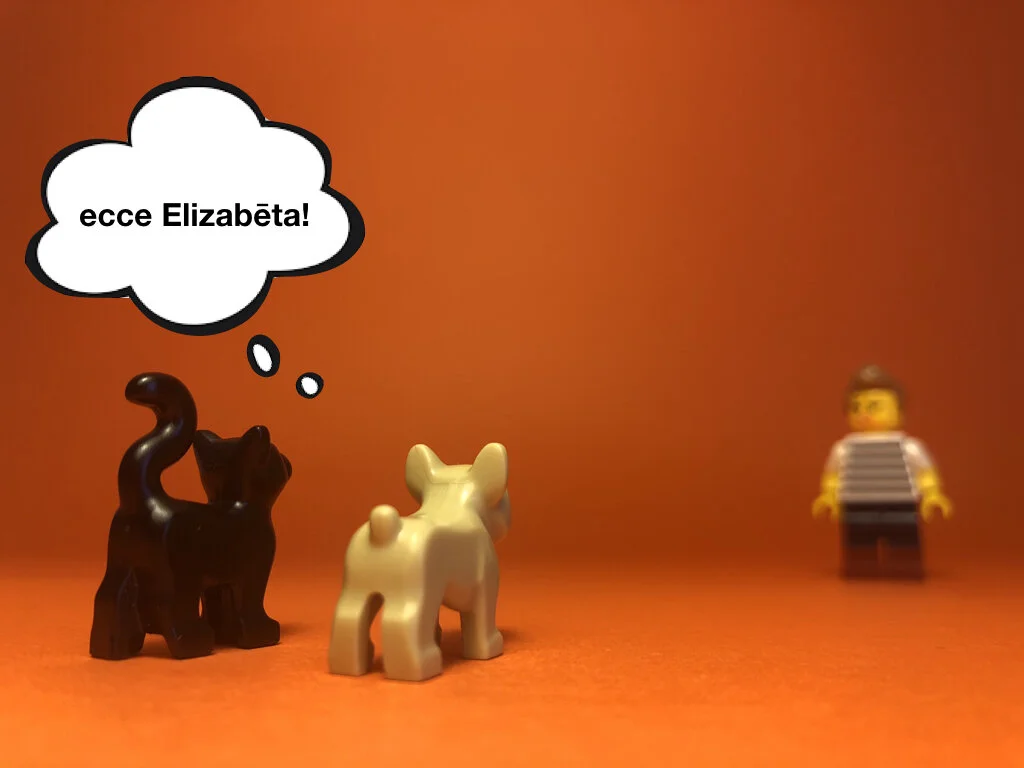 Disco Lesson 28 Remix.042.jpeg