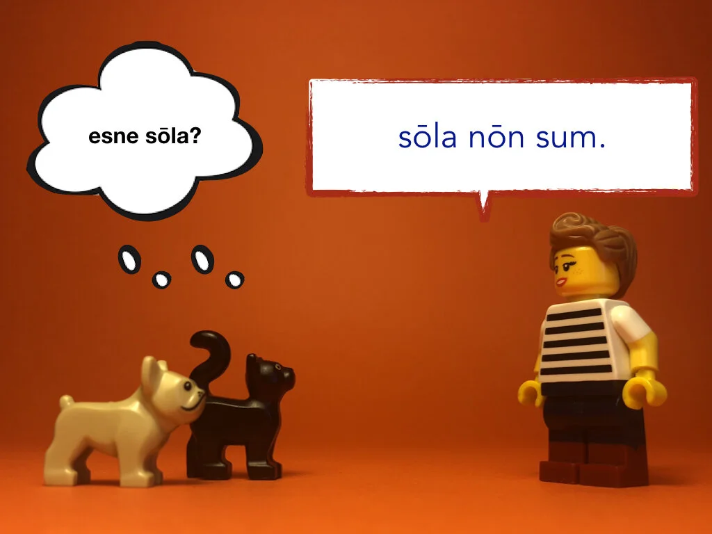 Disco Lesson 28 Remix.044.jpeg