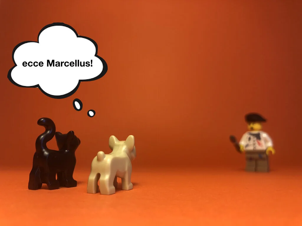 Disco Lesson 28 Remix.046.jpeg