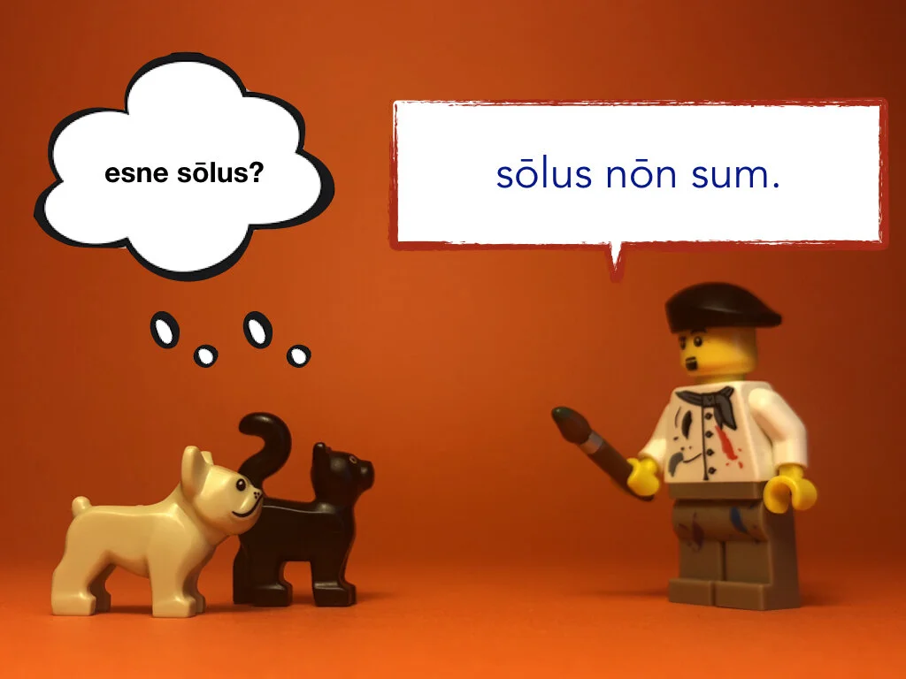 Disco Lesson 28 Remix.048.jpeg