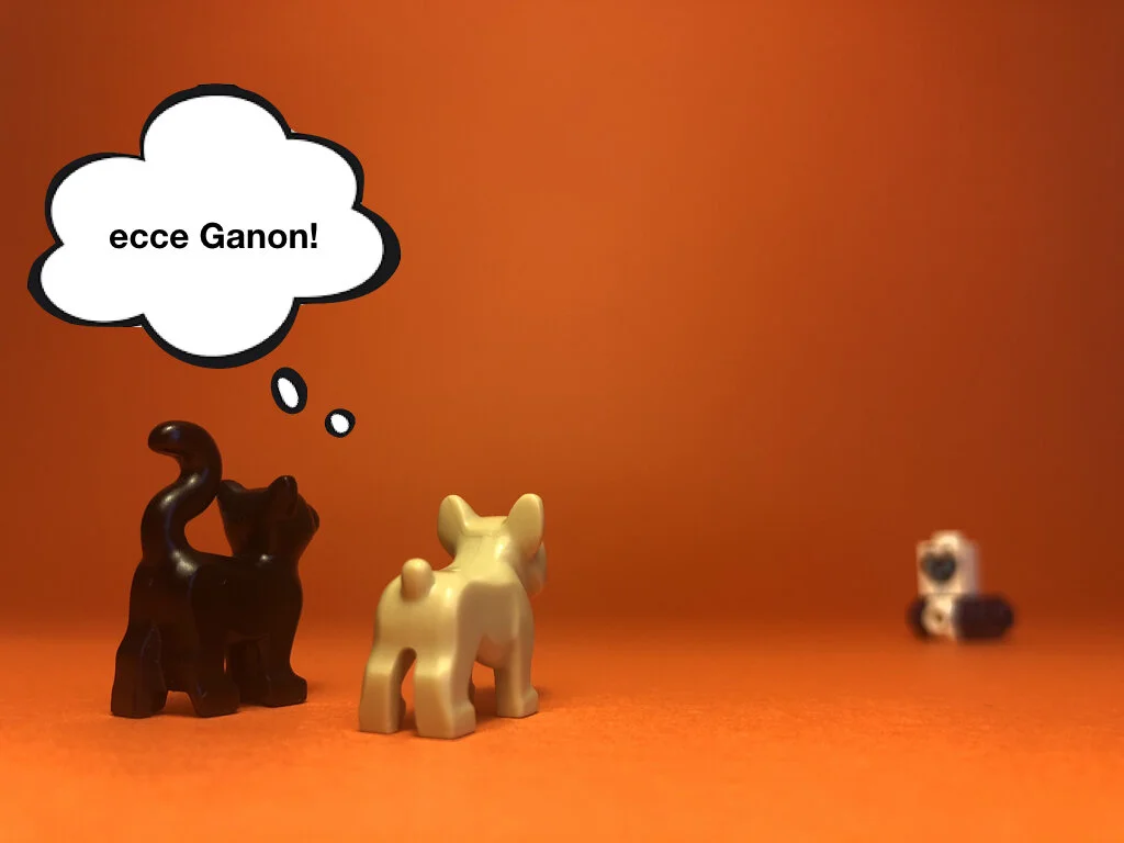 Disco Lesson 28 Remix.050.jpeg