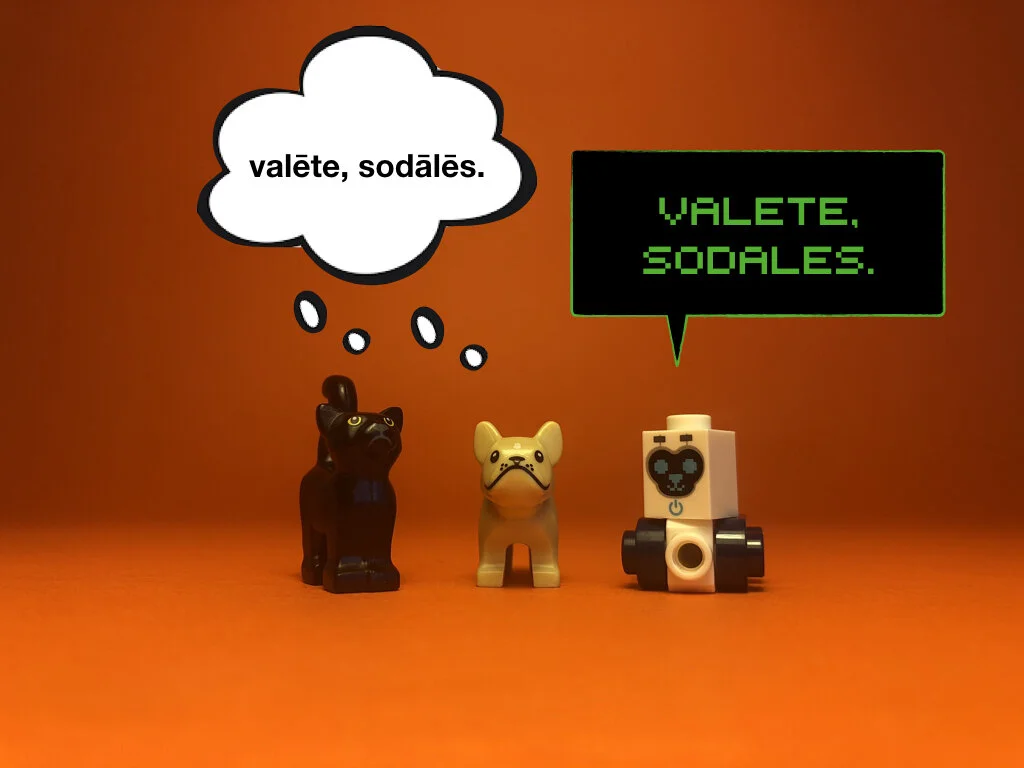 Disco Lesson 28 Remix.064.jpeg