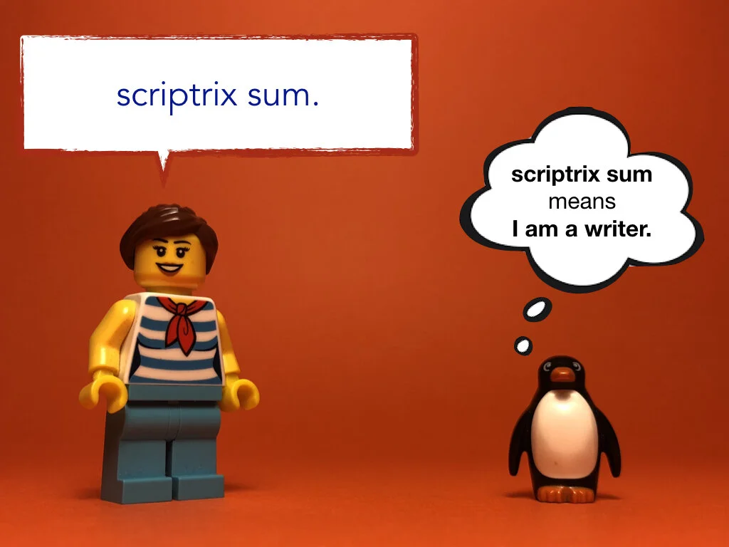 Disco Lesson 29 Remix.005.jpeg