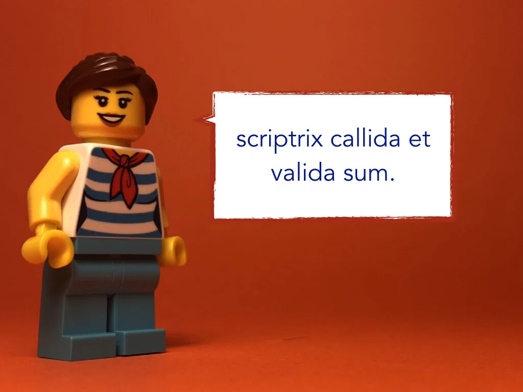 Disco Lesson 29 Remix.006.jpeg