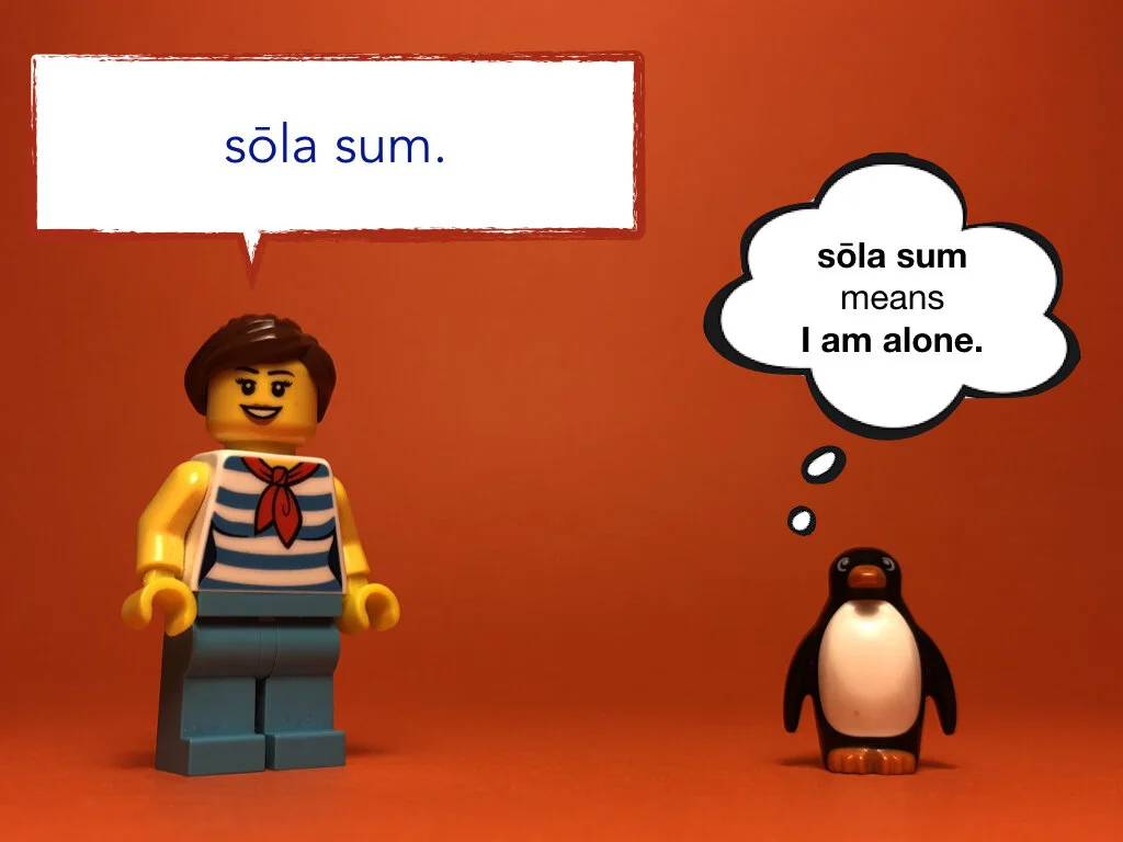 Disco Lesson 29 Remix.007.jpeg