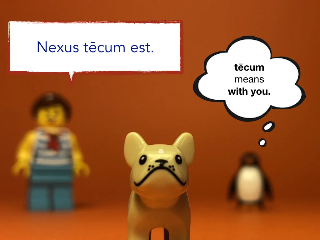 Disco Lesson 29 Remix.018.jpeg