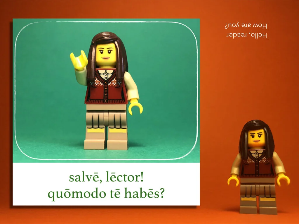 Disco Lesson 30 Remix.035.jpeg