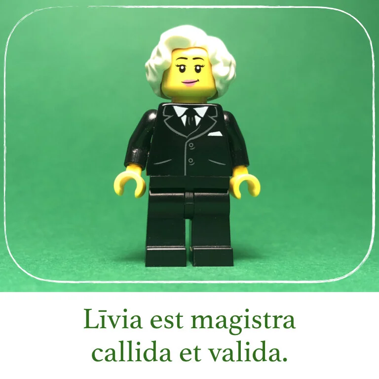 homines Legonii 1 - Livia.008.jpeg