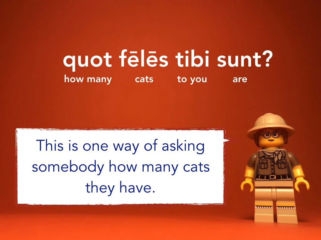 Disco Lesson 31.024.jpeg