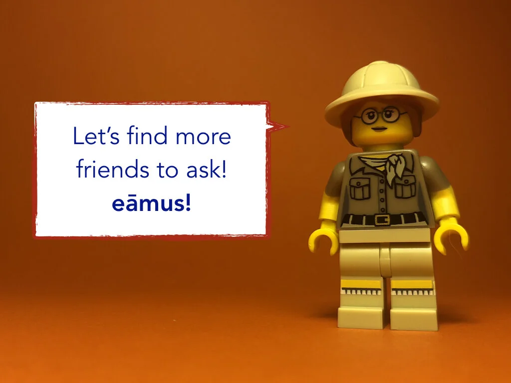 Disco Lesson 31.026.jpeg