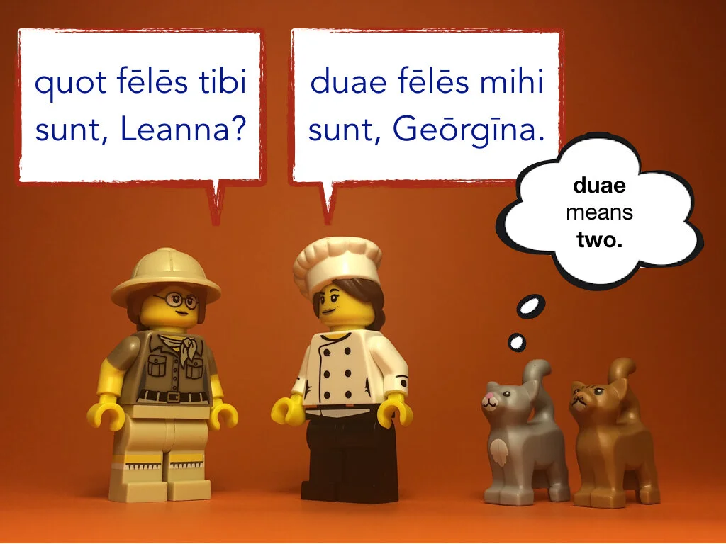 Disco Lesson 31.027.jpeg