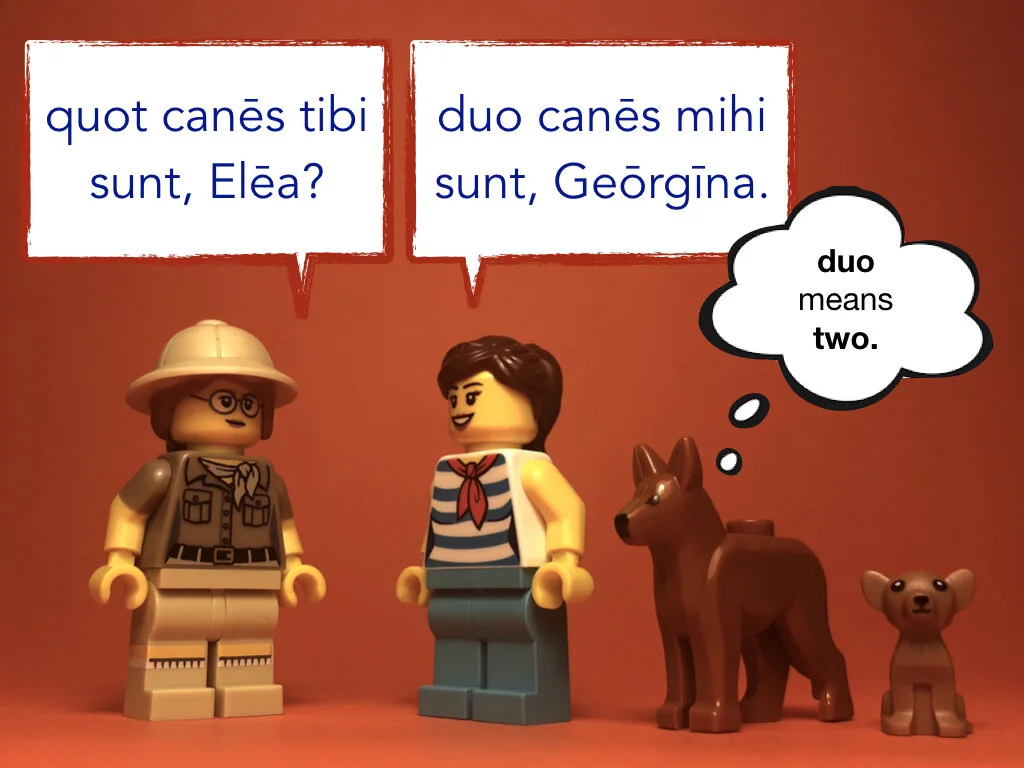 Disco Lesson 31.030.jpeg