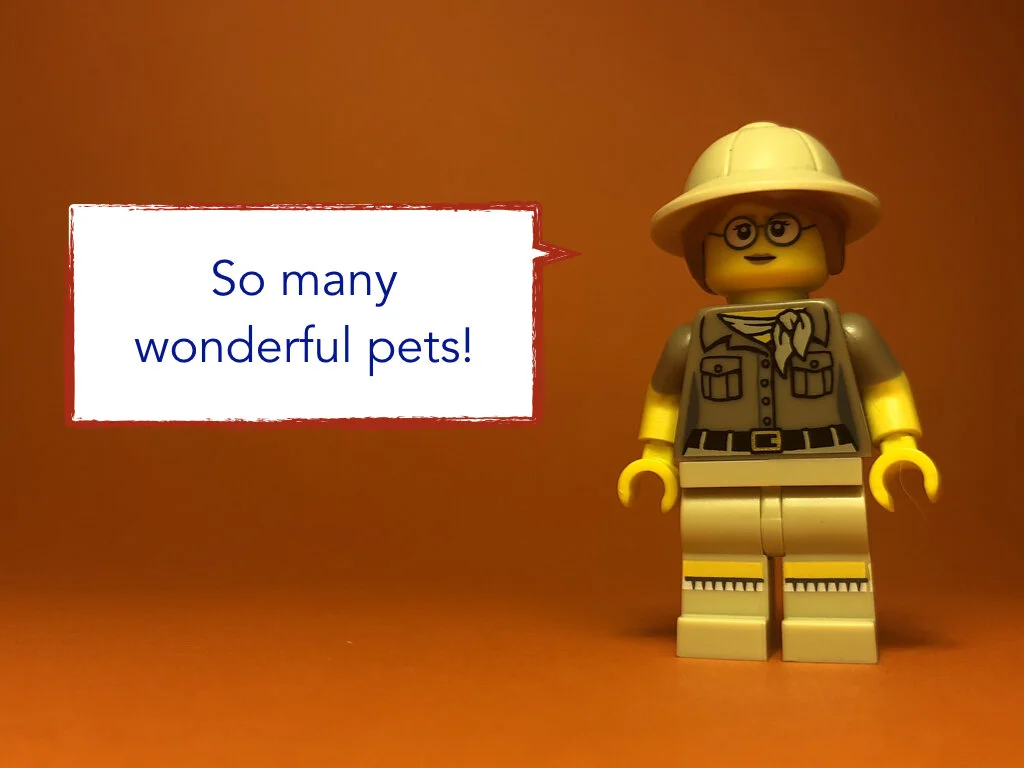 Disco Lesson 31.035.jpeg