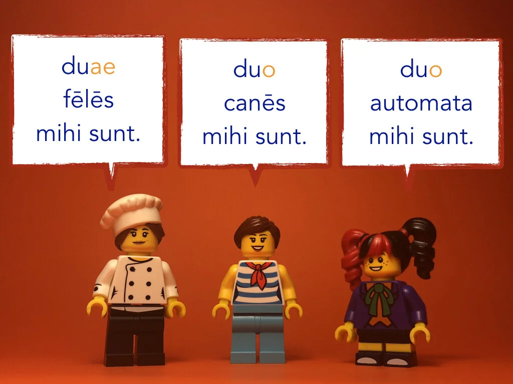 Disco Lesson 31.039.jpeg