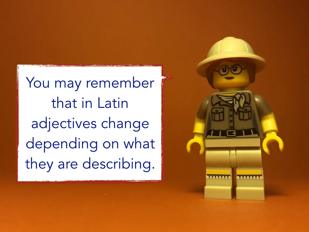 Disco Lesson 31.041.jpeg